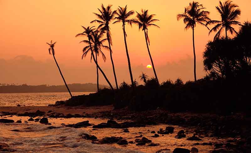Truck Accident Attorneys in Hawaii